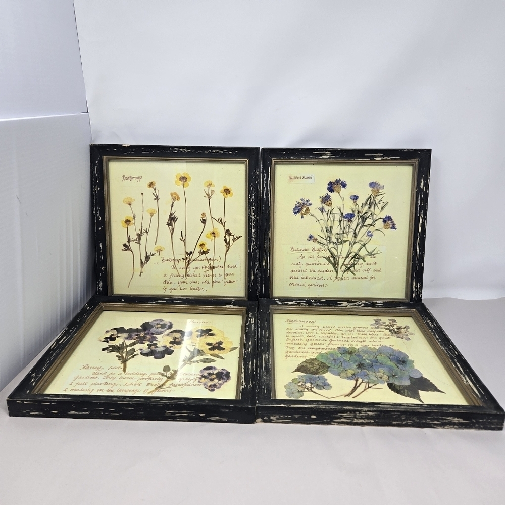 Creative Co-op Set Of 4 Beautifully Handcrafted  Floral Manuscripts Of Flowers